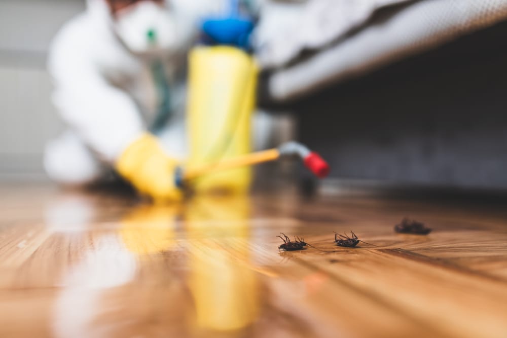 Is Pest Control A Hard Job?