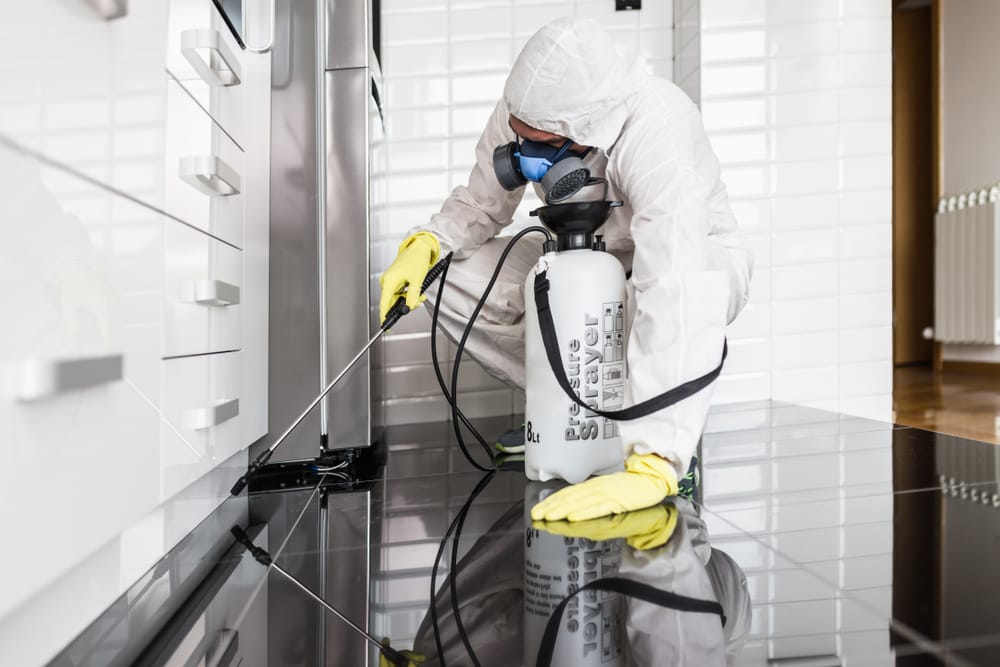 Structural Exterminator Licence - The Most Practical Of Exterminator Licenses