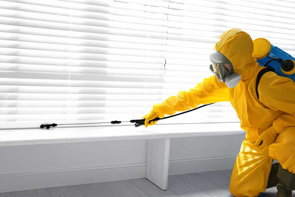 Pest Control Jobs California